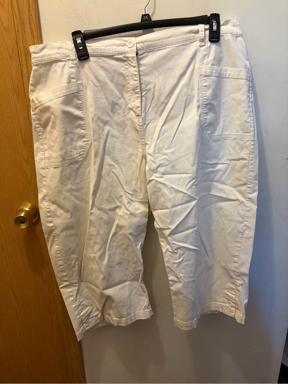 (2x) D&co Capri pants